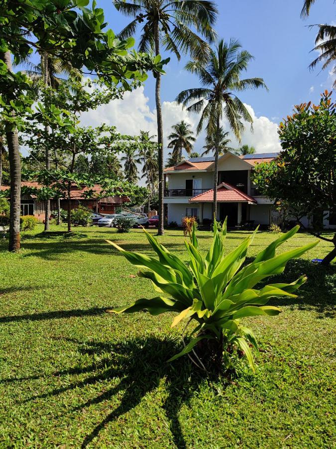 Pura Vida Varkala Hotel Ngoại thất bức ảnh