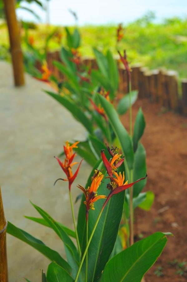 Pura Vida Varkala Hotel Ngoại thất bức ảnh